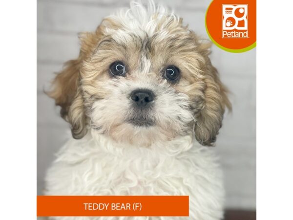 Teddy Bear – 3947